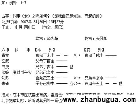 子孫爻|六爻基礎知識系列教程——六爻裝卦法